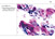 Cytobox-Beispiel Cytobox-Beispiel
