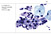 Cytobox-Beispiel Cytobox-Beispiel