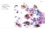 Cytobox-Beispiel Cytobox-Beispiel