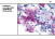 Cytobox-Beispiel Cytobox-Beispiel