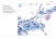 Cytobox-Beispiel Cytobox-Beispiel